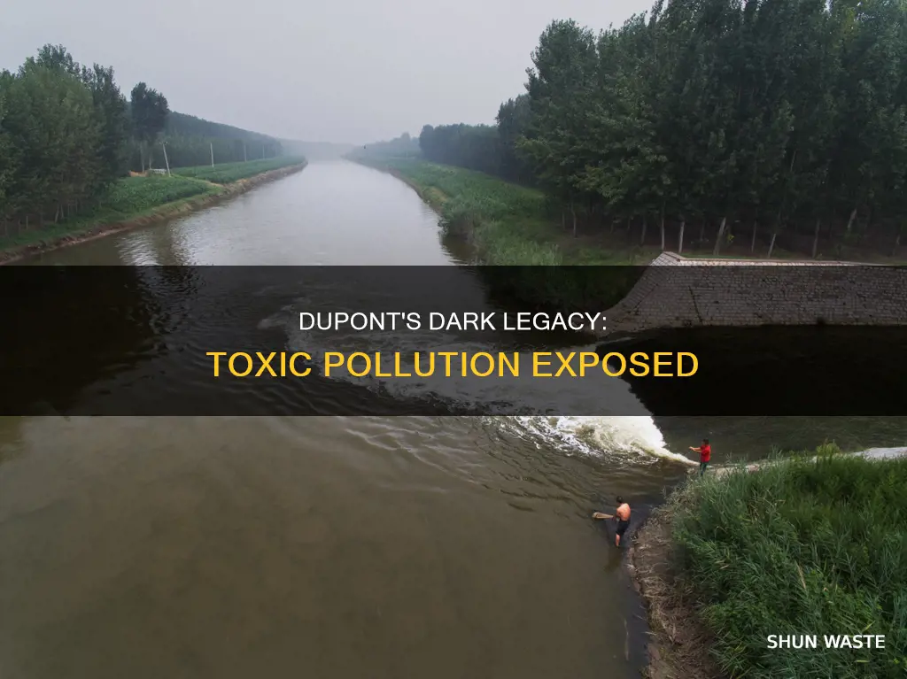 how was dupont pollution discovered
