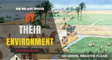 Egypt's Environmental Influence: Shaping Civilization, Culture, and Survival Strategies