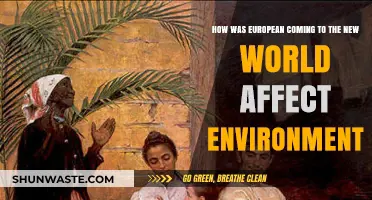 European Colonization's Environmental Impact on the New World