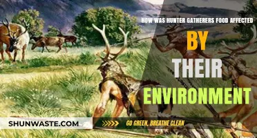 Environmental Shifts: How Hunter-Gatherers Adapted Their Diets to Survive