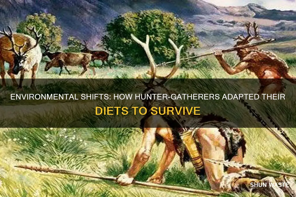 how was hunter gatherers food affected by their environment