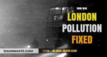London's Pollution Solution: A Historical Perspective