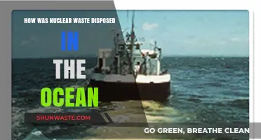 Oceanic Nuclear Waste Disposal: Methods, Impact, and Environmental Concerns