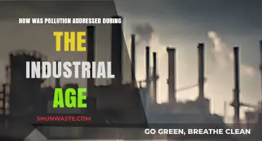Industrial Age Pollution: Addressing the Inevitable Crisis