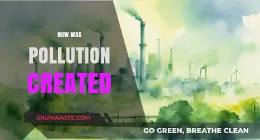 The Evolution of Pollution: Understanding Its Origins