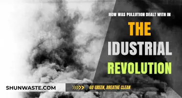 Industrial Revolution: Tackling Pollution's Dark Legacy