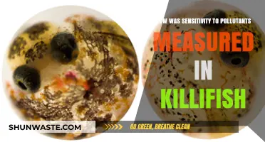 Pollution Sensitivity Testing in Killifish: Methods and Insights