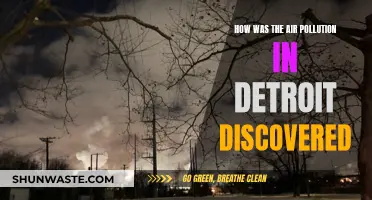 Detroit's Air Pollution: A Historical Discovery