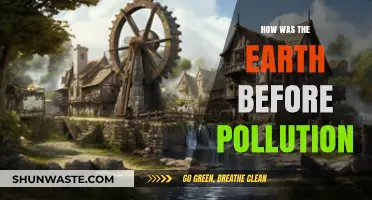 Pristine Earth: A Pollution-Free Past