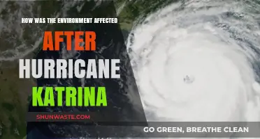 Hurricane Katrina's Aftermath: Environmental Impact and Long-Term Consequences