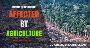 Agriculture's Impact: How Farming Practices Shape Our Environment