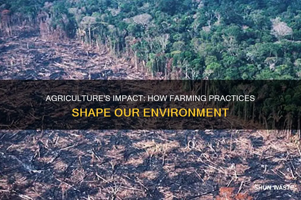 how was the environment affected by agriculture