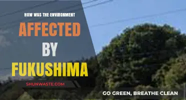 Fukushima's Environmental Impact: Assessing the Aftermath and Ecosystem Changes