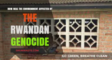 Rwandan Genocide's Devastating Environmental Aftermath: A Comprehensive Analysis