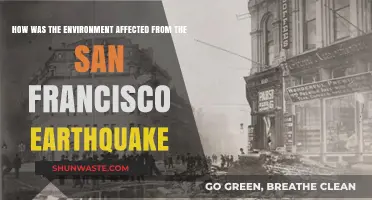 San Francisco Earthquake's Environmental Impact: A Comprehensive Analysis