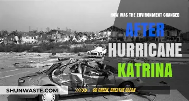 Hurricane Katrina's Aftermath: Environmental Shifts and Long-Term Impacts