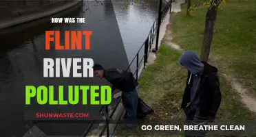 Flint River Pollution: A Troubling History