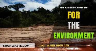 Gold Rush's Dark Legacy: Environmental Devastation and Long-Term Impacts