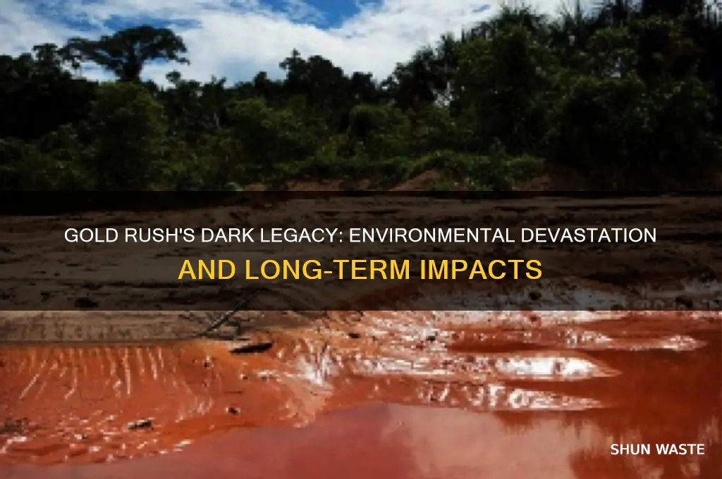 how was the gold rush bad for the environment