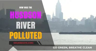 The Hudson River Pollution: A Historical Overview