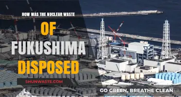 Fukushima's Nuclear Waste Disposal: Methods, Challenges, and Environmental Impact