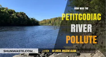The Petitcodiac River: A Tale of Industrial Pollution