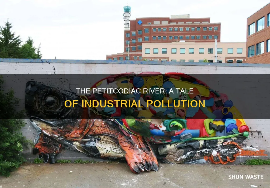 how was the petitcodiac river pollute