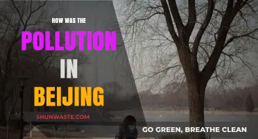 Beijing's Pollution Evolution: A Historical Perspective