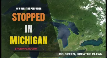 Michigan's Pollution Solution: A Successful Environmental Battle