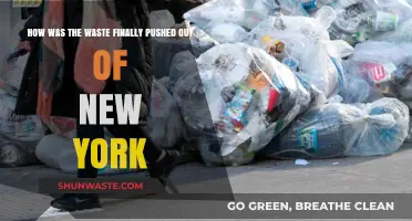 How New York Finally Solved Its Waste Crisis: A Comprehensive Overview