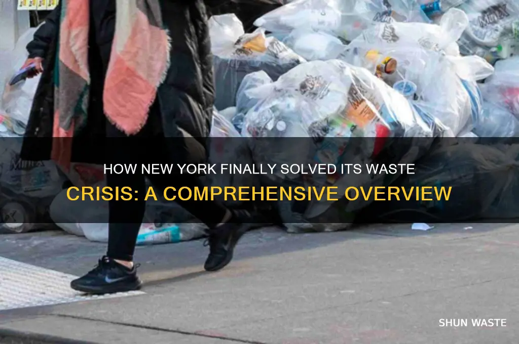 how was the waste finally pushed out of new york