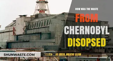 Chernobyl's Toxic Legacy: Methods and Challenges of Waste Disposal