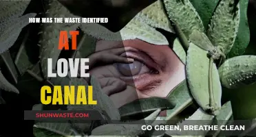 Uncovering Love Canal's Toxic Legacy: Identifying the Hazardous Waste Crisis