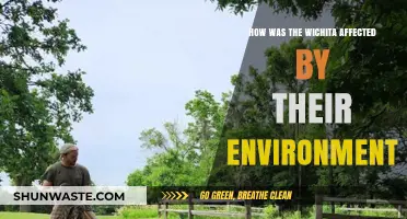 Wichita's Environmental Impact: Shaping Culture, Economy, and Daily Life