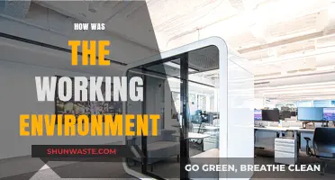 Exploring the Dynamics of a Productive Working Environment