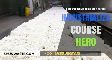 Pre-Industrial Waste Management: Ancient Practices Before Industrialization