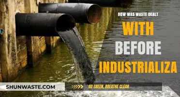 Pre-Industrial Waste Management: Ancient Practices and Sustainable Solutions
