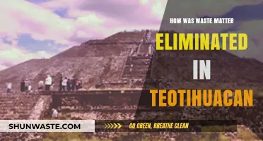Teotihuacan's Sanitation Secrets: Waste Elimination in the Ancient City