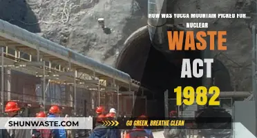Why Yucca Mountain Was Chosen for the 1982 Nuclear Waste Act