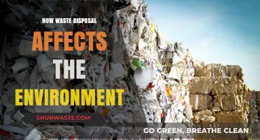 Waste Disposal's Environmental Impact: Consequences and Sustainable Solutions Revealed