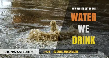 From Trash to Tap: How Waste Contaminates Our Drinking Water