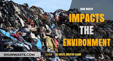 Waste's Devastating Impact: How Trash Destroys Our Environment and Planet