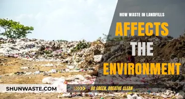 Landfill Waste Crisis: Environmental Impacts and Urgent Solutions Needed