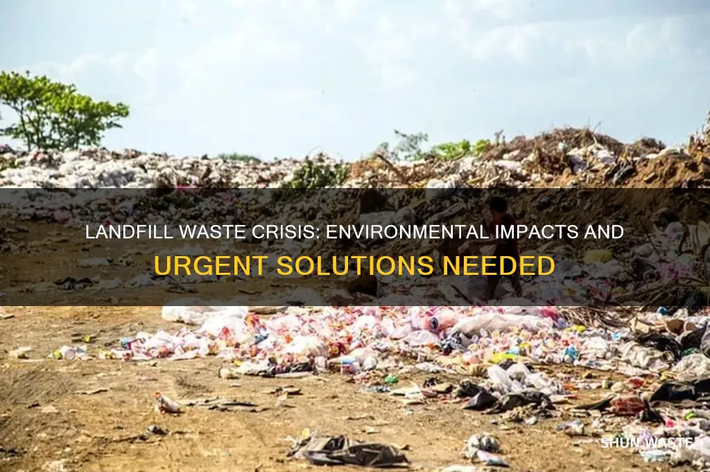 how waste in landfills affects the environment