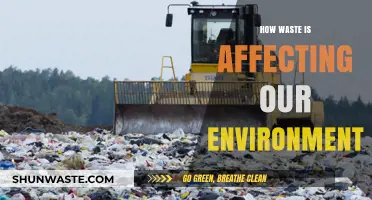 Waste Crisis: Environmental Impact and Urgent Solutions for a Sustainable Future