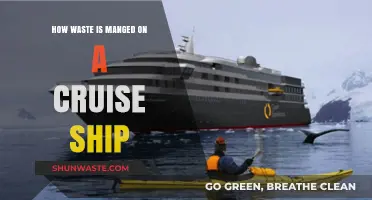 Cruise Ship Waste Management: Sustainable Practices on the High Seas