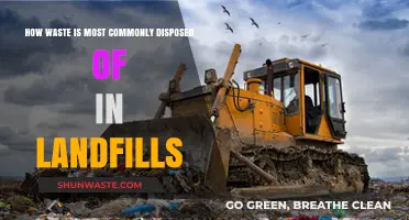 Landfill Waste Disposal: Common Methods and Environmental Impact Explained
