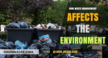 Waste Management's Impact: Environmental Consequences and Sustainable Solutions