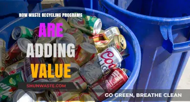 Recycling Programs: Transforming Waste into Economic and Environmental Value