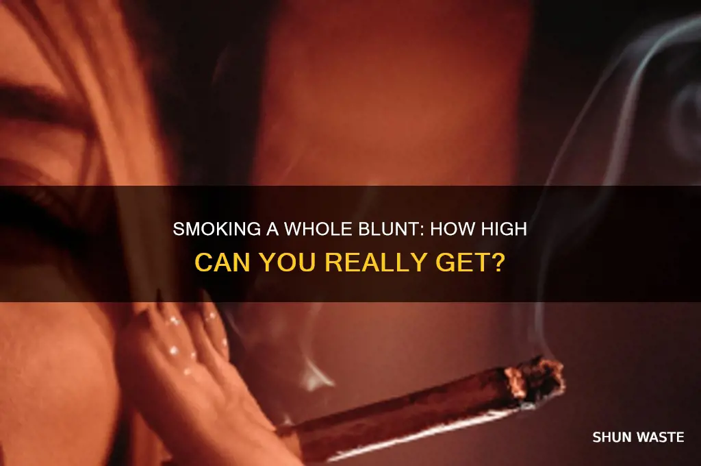 how wasted would smoking a whole blunt make you
